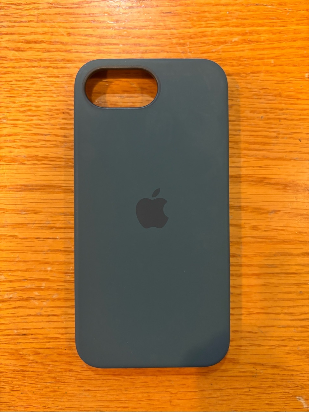 Apple Silicone iPhone 16se/ 17se Case - Forest Green